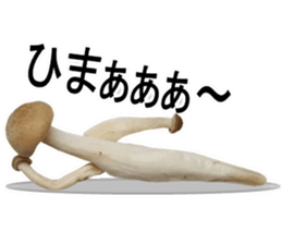 simejin1 sticker #13633840