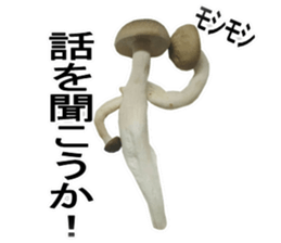 simejin1 sticker #13633841