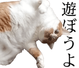Iemitsu of the fatty cat sticker #13633996