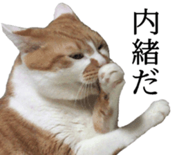 Iemitsu of the fatty cat sticker #13634010