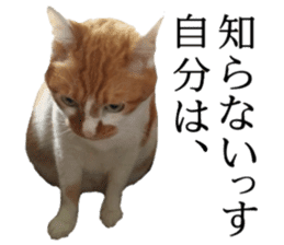 Iemitsu of the fatty cat sticker #13634016