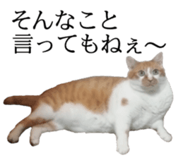 Iemitsu of the fatty cat sticker #13634019