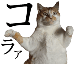 Iemitsu of the fatty cat sticker #13634020