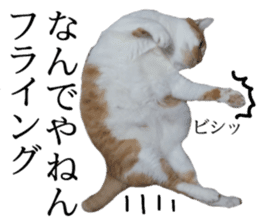 Iemitsu of the fatty cat sticker #13634027