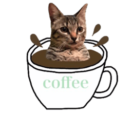 amore amore cat sticker #13634196