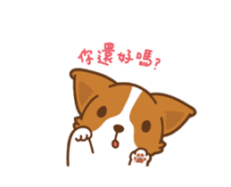 Corgi Dog Kaka - animated sticker vol. 1 sticker #13634544