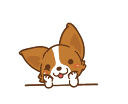 Corgi Dog Kaka - animated sticker vol. 1 sticker #13634547