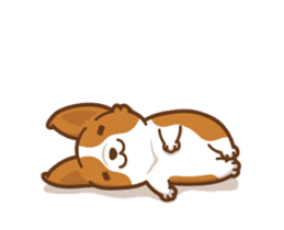 Corgi Dog Kaka - animated sticker vol. 1 sticker #13634553