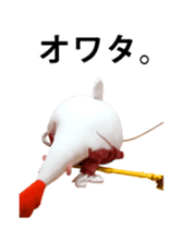 Chicken mom dancing and vacuuming JPNver sticker #13634564