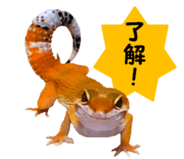 Leopard Gecko of taking a picture sticker #13634726