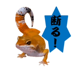Leopard Gecko of taking a picture sticker #13634727