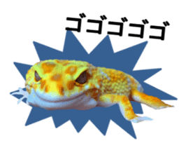 Leopard Gecko of taking a picture sticker #13634733