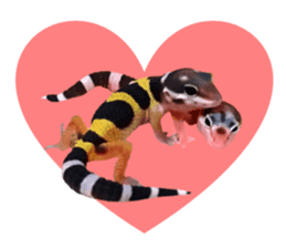 Leopard Gecko of taking a picture sticker #13634737