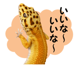 Leopard Gecko of taking a picture sticker #13634739