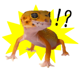 Leopard Gecko of taking a picture sticker #13634742