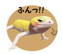 Leopard Gecko of taking a picture sticker #13634750