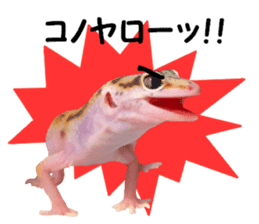 Leopard Gecko of taking a picture sticker #13634753