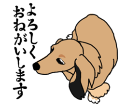 Miniature Dachshund LEO sticker #13634830