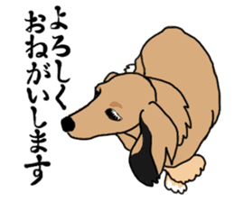 Miniature Dachshund LEO sticker #13634830