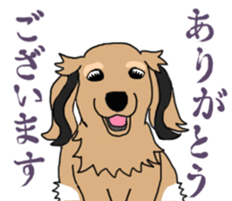 Miniature Dachshund LEO sticker #13634831