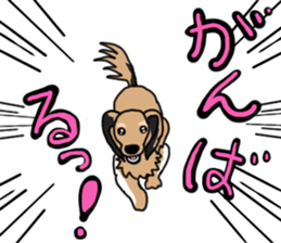 Miniature Dachshund LEO sticker #13634832