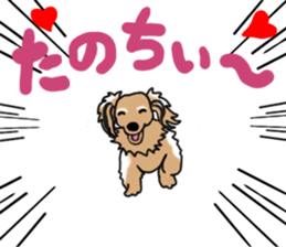 Miniature Dachshund LEO sticker #13634834