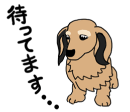 Miniature Dachshund LEO sticker #13634835