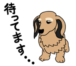 Miniature Dachshund LEO sticker #13634835