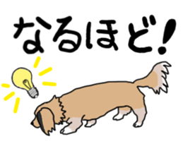 Miniature Dachshund LEO sticker #13634839