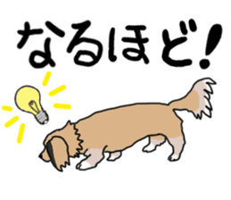 Miniature Dachshund LEO sticker #13634839