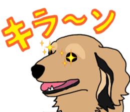 Miniature Dachshund LEO sticker #13634841