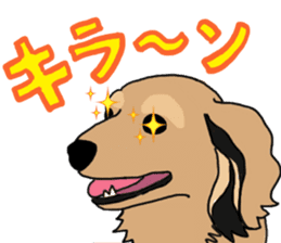 Miniature Dachshund LEO sticker #13634841