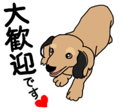 Miniature Dachshund LEO sticker #13634842