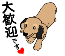 Miniature Dachshund LEO sticker #13634842