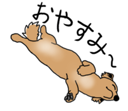 Miniature Dachshund LEO sticker #13634844