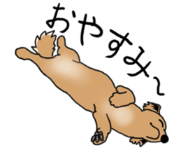 Miniature Dachshund LEO sticker #13634844