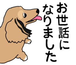 Miniature Dachshund LEO sticker #13634845