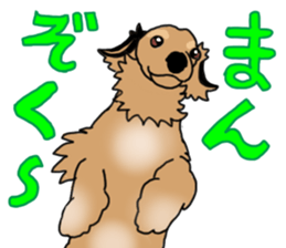 Miniature Dachshund LEO sticker #13634846