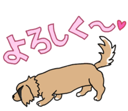 Miniature Dachshund LEO sticker #13634848