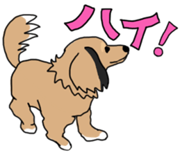 Miniature Dachshund LEO sticker #13634849
