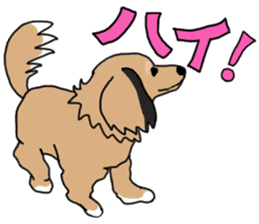 Miniature Dachshund LEO sticker #13634849