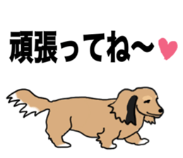 Miniature Dachshund LEO sticker #13634850
