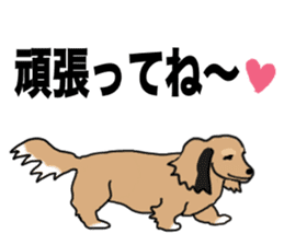 Miniature Dachshund LEO sticker #13634850