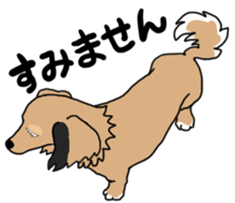 Miniature Dachshund LEO sticker #13634851