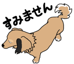 Miniature Dachshund LEO sticker #13634851