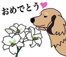 Miniature Dachshund LEO sticker #13634856