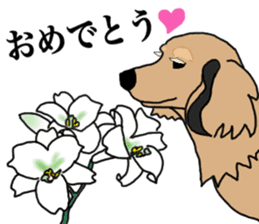 Miniature Dachshund LEO sticker #13634856