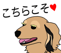 Miniature Dachshund LEO sticker #13634860