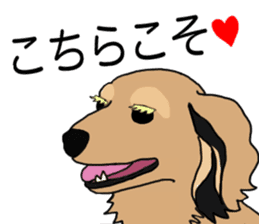 Miniature Dachshund LEO sticker #13634860