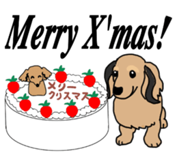 Miniature Dachshund LEO sticker #13634867